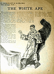 wt1924-04-whiteape-240