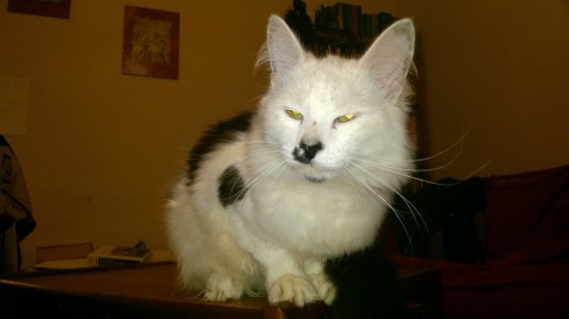 WP_20160107_20_42_08_Pro