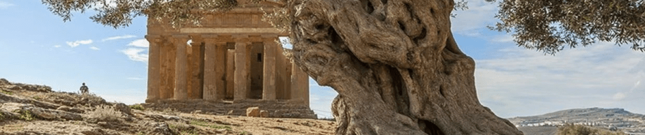 A tree in ancient Greece